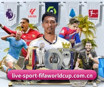 2026世界杯 APP 界面
